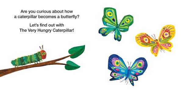 Life Cycle with TVHC: How Does A Caterpillar Change?