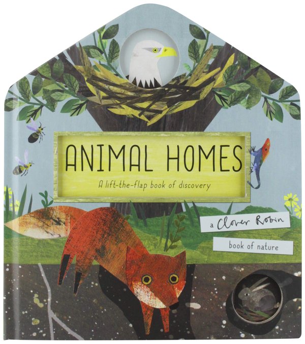Animal Homes : A lift-the-flap book of discovery