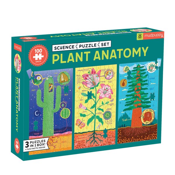 Science Puzzle Set: Plant Anatomy