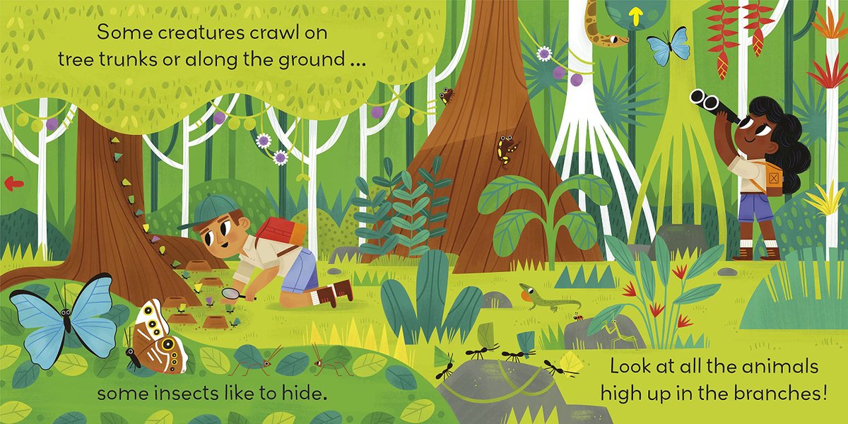 Little World: Jungle Journey | Natventure