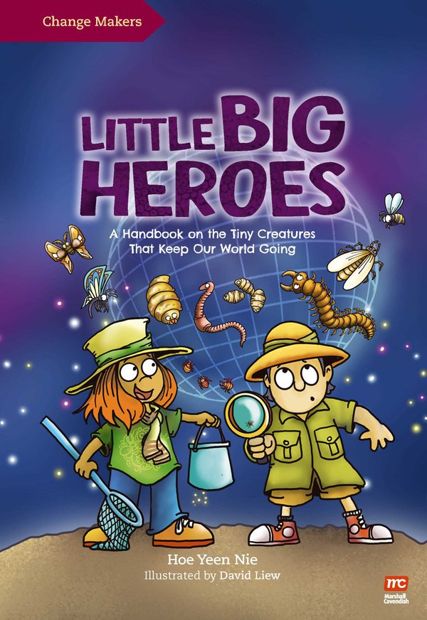 Changemakers: Little Big Heroes