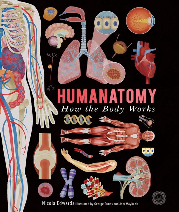 [Preloved] Humanatomy: How the Body Works